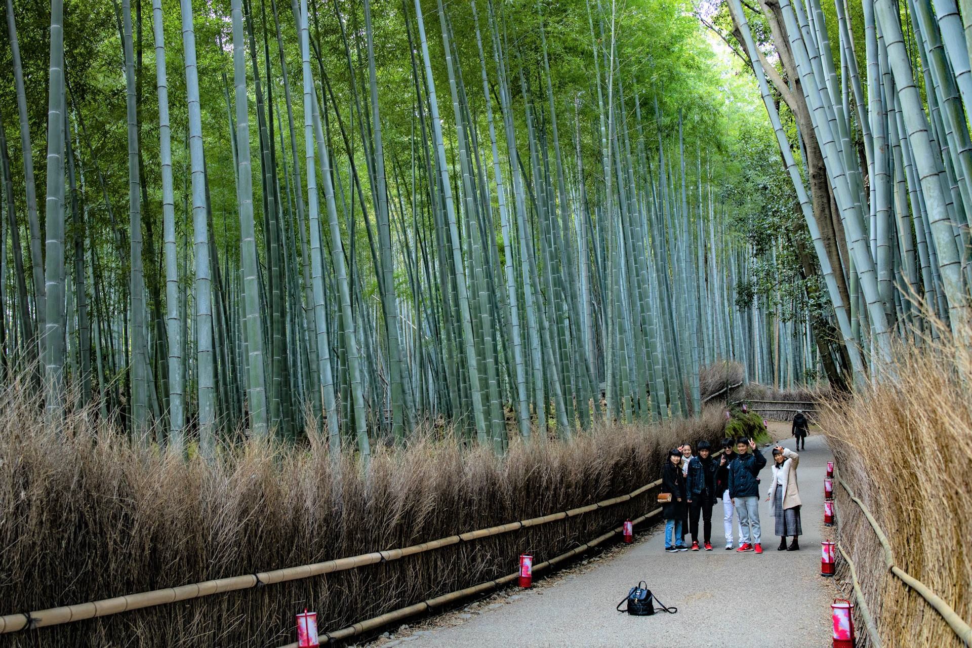 Du Lịch Nhật Bản Tokyo 6 Ngày Bay Vietnam Airlines (Mùa hè)